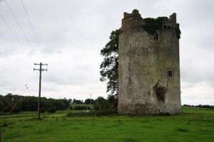Grantstown Castle, Tipperary