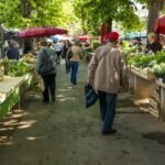 Herbert Park Market